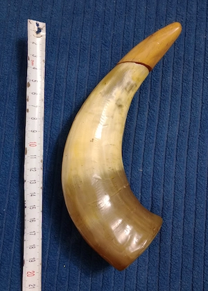 Corn plin 20 cm. cu dop din lemn
