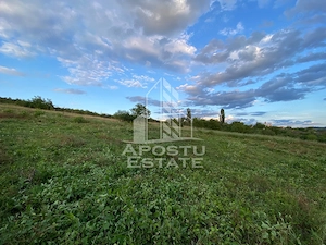 Teren intravilan cu vedere panoramica spre Retezat, Buituri, Hunedoara - imagine 4
