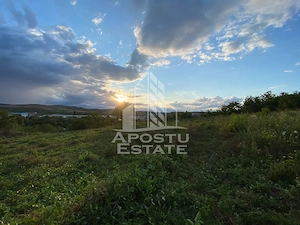 Teren intravilan cu vedere panoramica spre Retezat, Buituri, Hunedoara - imagine 5