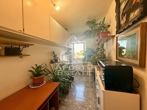 Apartament 1 camera de vanzare, zona Lunei, Timisoara - imagine 5