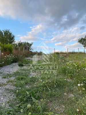 Teren intravilan cu vedere panoramica spre Retezat, Buituri, Hunedoara - imagine 7