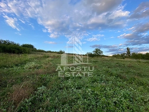 Teren intravilan cu vedere panoramica spre Retezat, Buituri, Hunedoara - imagine 6