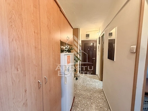 Apartament 1 camera de vanzare, zona Lunei, Timisoara - imagine 9