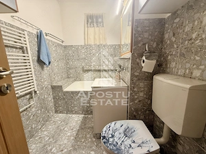 Apartament 1 camera de vanzare, zona Lunei, Timisoara - imagine 13