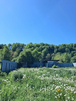 Vând teren 4782mp Borlesti  - imagine 2