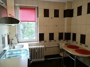 Apartament cu 2 camere de închiriat Tudor Vladimirescu  - imagine 3