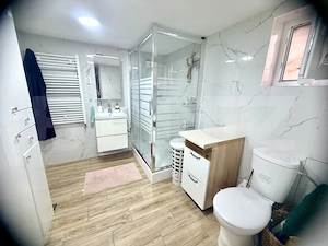 Proprietate cu două case, 145 mp, anexe si teren 1.300 mp, Pâclișa -Alba Iulia - imagine 9