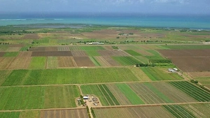  De vinzare teren Agricol in Veseud SIBIU
