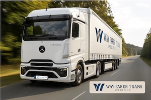 Sofer de TIR pentru TUR - RETUR -  3200 EURO 