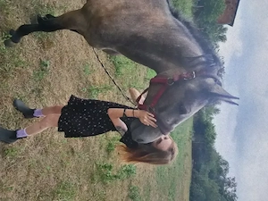 iapa de agrement