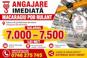 Macaragii pod rulant- fabrica Timisoara (Dumbravita)
