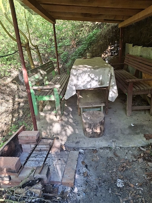 Vand casa si cabana in orasul Baile Olanesti, jud. Valcea - imagine 9