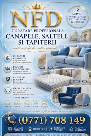 Curățare Profesionala