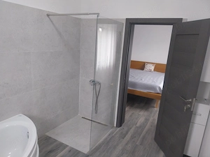 Casa Parter ,Becicherecu Mic  - imagine 10
