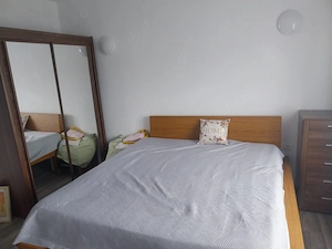 Casa Parter ,Becicherecu Mic  - imagine 8