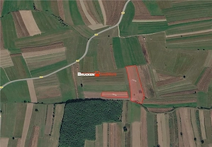 Aproximativ4 ha teren | Casa batraneasca | Beiusele - Bihor - imagine 11