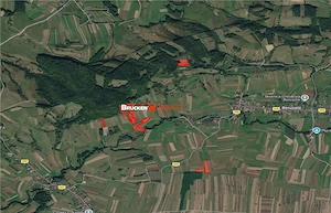Aproximativ4 ha teren | Casa batraneasca | Beiusele - Bihor - imagine 12