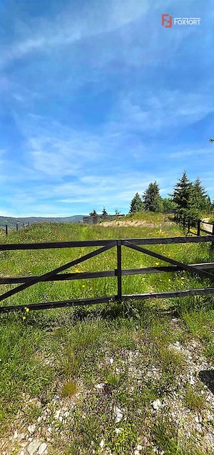 Teren intravilan pretabil constructii de vanzare in Costesti (Albac), Jud. Alba - imagine 11