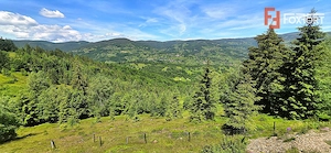 Teren intravilan pretabil constructii de vanzare in Costesti (Albac), Jud. Alba - imagine 4