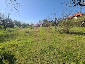 Teren de vanzare in Campina