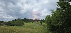 Teren de vanzare in Campina, Muscel - imagine 4