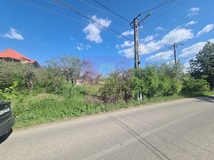 Teren de vanzare in Campina in zona retrasa
