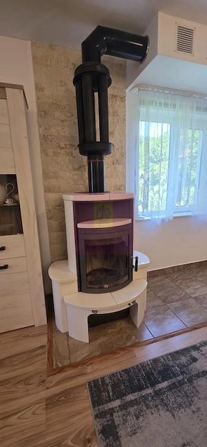 Vila de vanzare in Breaza-Nistoresti cu 7068 mp - imagine 7