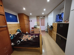 Studio ideal pentru student Baba Novac IOR cu mutare rapidă - imagine 10