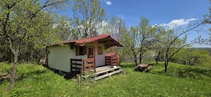 Teren cu Casuta de lemn in Sotrile (langă Valea Doftanei) - imagine 2