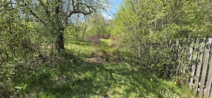 Teren cu Casuta de lemn in Sotrile (langă Valea Doftanei) - imagine 18