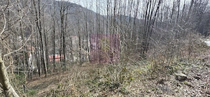 Tere intravilan de vanzare in Sinaia