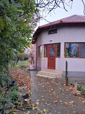 ILFOV - SE VINDE CASA IN ISLAZ / COM. BRANESTI - imagine 4