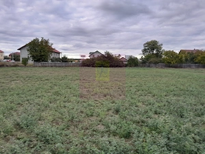 COSERENI (IL) - SE VINDE TEREN 2000 MP LA SOS BUCURESTI -URZICENI - imagine 10