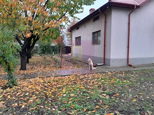 ILFOV - SE VINDE CASA IN ISLAZ / COM. BRANESTI - imagine 6