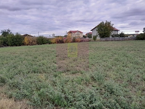 COSERENI (IL) - SE VINDE TEREN 2000 MP LA SOS BUCURESTI -URZICENI - imagine 11