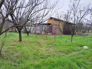 BARCANESTI (IL) - SE VINDE CASA + TEREN 16K MP - imagine 4