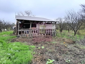 BARCANESTI (IL) - SE VINDE CASA + TEREN 16K MP - imagine 9