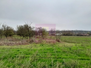 BARCANESTI (IL) - SE VINDE CASA + TEREN 16K MP - imagine 12