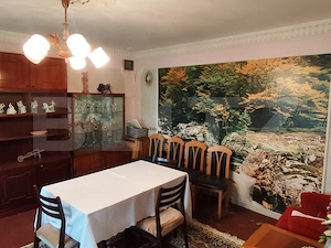 Casa 120 mp utili, 2850 mp teren, zona Bucium - imagine 1