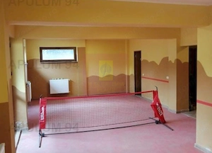 Vila Spatioasa Bucuresti Prelungirea Ghencea - imagine 7