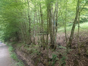 Teren in Bulzestii de Sus 3700mp