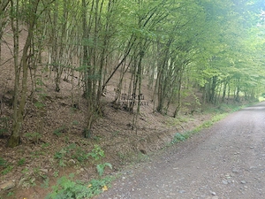 Teren in Bulzestii de Sus 3700mp - imagine 2