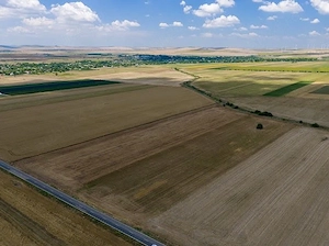 Teren agricol Iazurile  - imagine 4