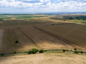 Teren agricol Iazurile  - imagine 9