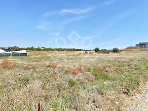 Teren intravilan de vanzare cu suprafata de 900 mp, Saldabagiu de Munte, Bihor - imagine 2