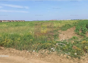 Teren, zona Dobroesti Pantelimon