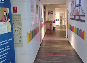 Spatiu birouri zona Lujerului -Virtutii - imagine 3