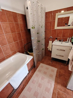 Proprietar vand casa in Ianova, 20 km de TImisoara - imagine 7