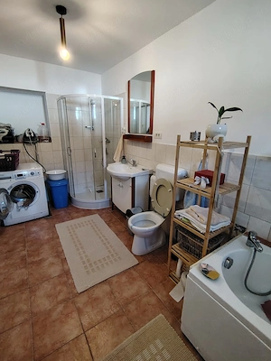 Proprietar vand casa in Ianova, 20 km de TImisoara - imagine 9