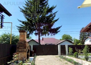 Vilă de vânzare în Câmpina - imagine 3
